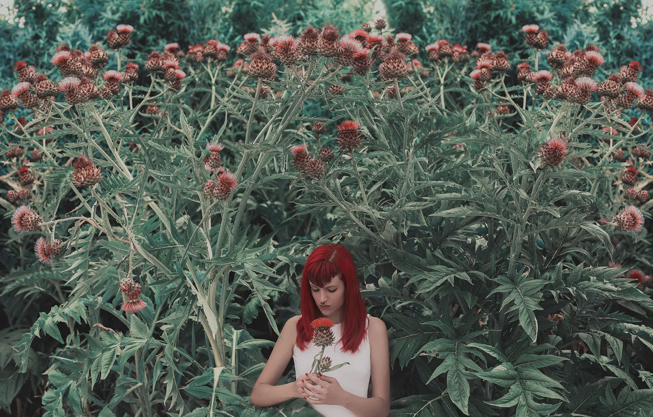 Photo wallpaper girl, light, nature, face, hair