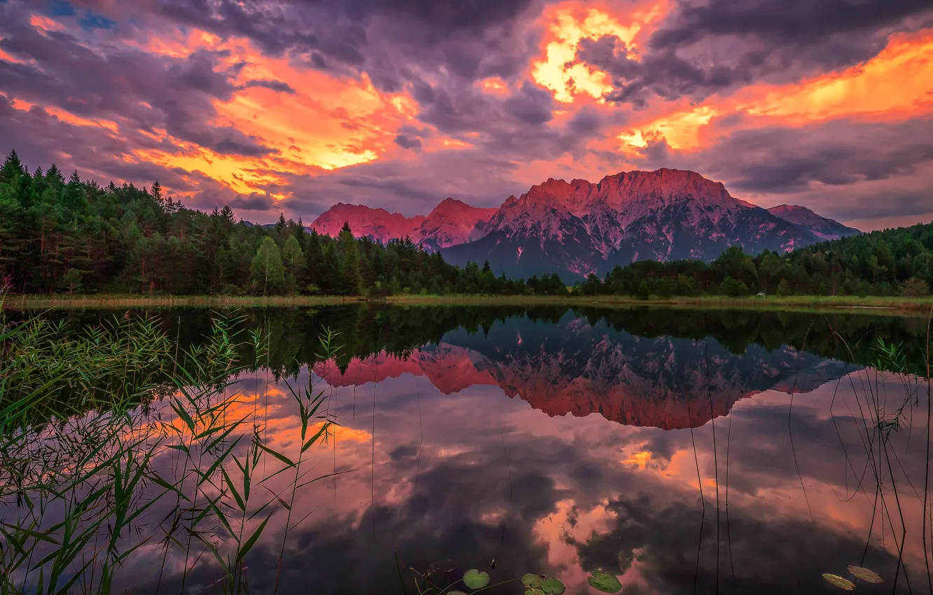 Photo wallpaper forest, the sky, clouds, mountains, reflection, shore, tops, the evening