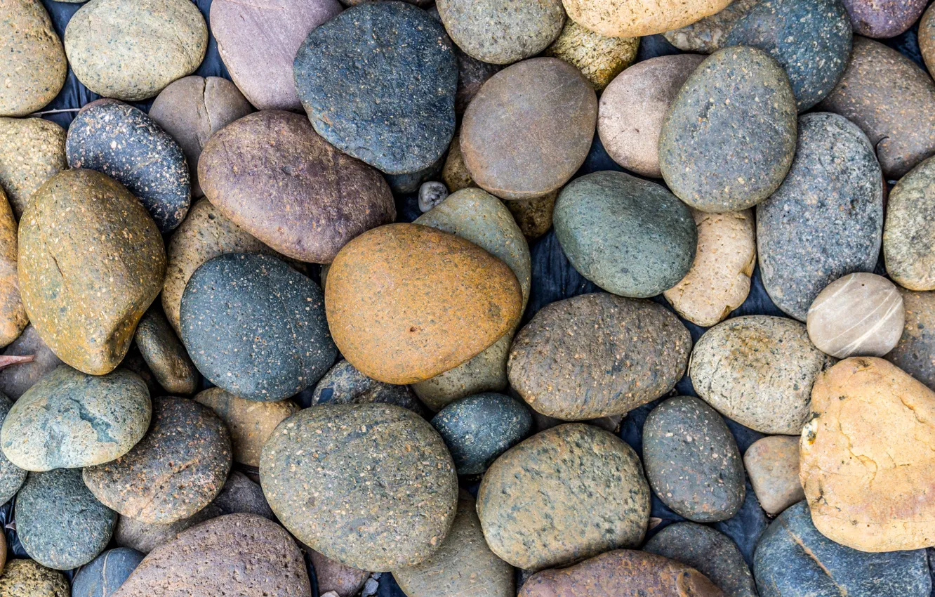 Photo wallpaper beach, pebbles, stones, background, white, white, beach, texture