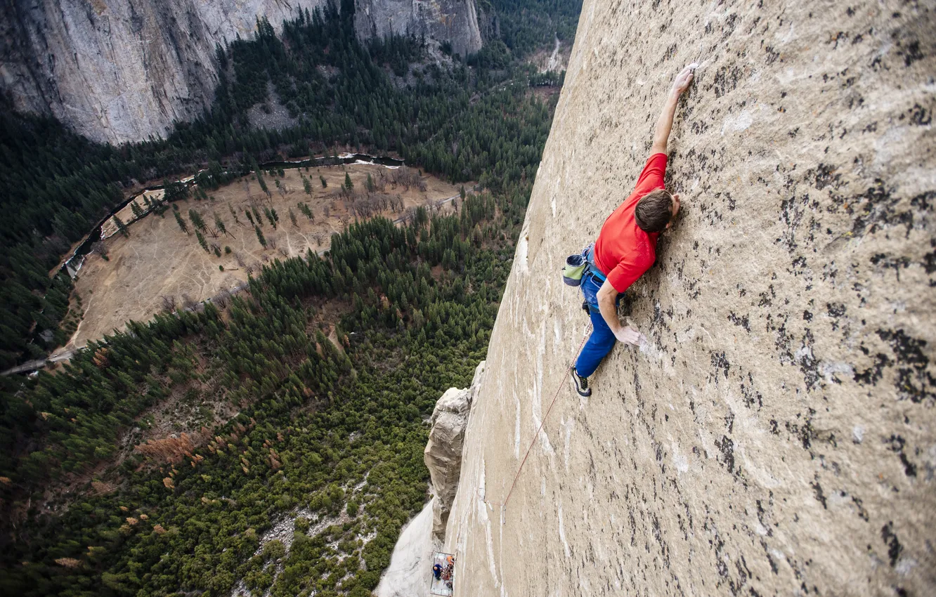 Photo wallpaper forest, landscape, mountains, nature, sport, height, valley, forest