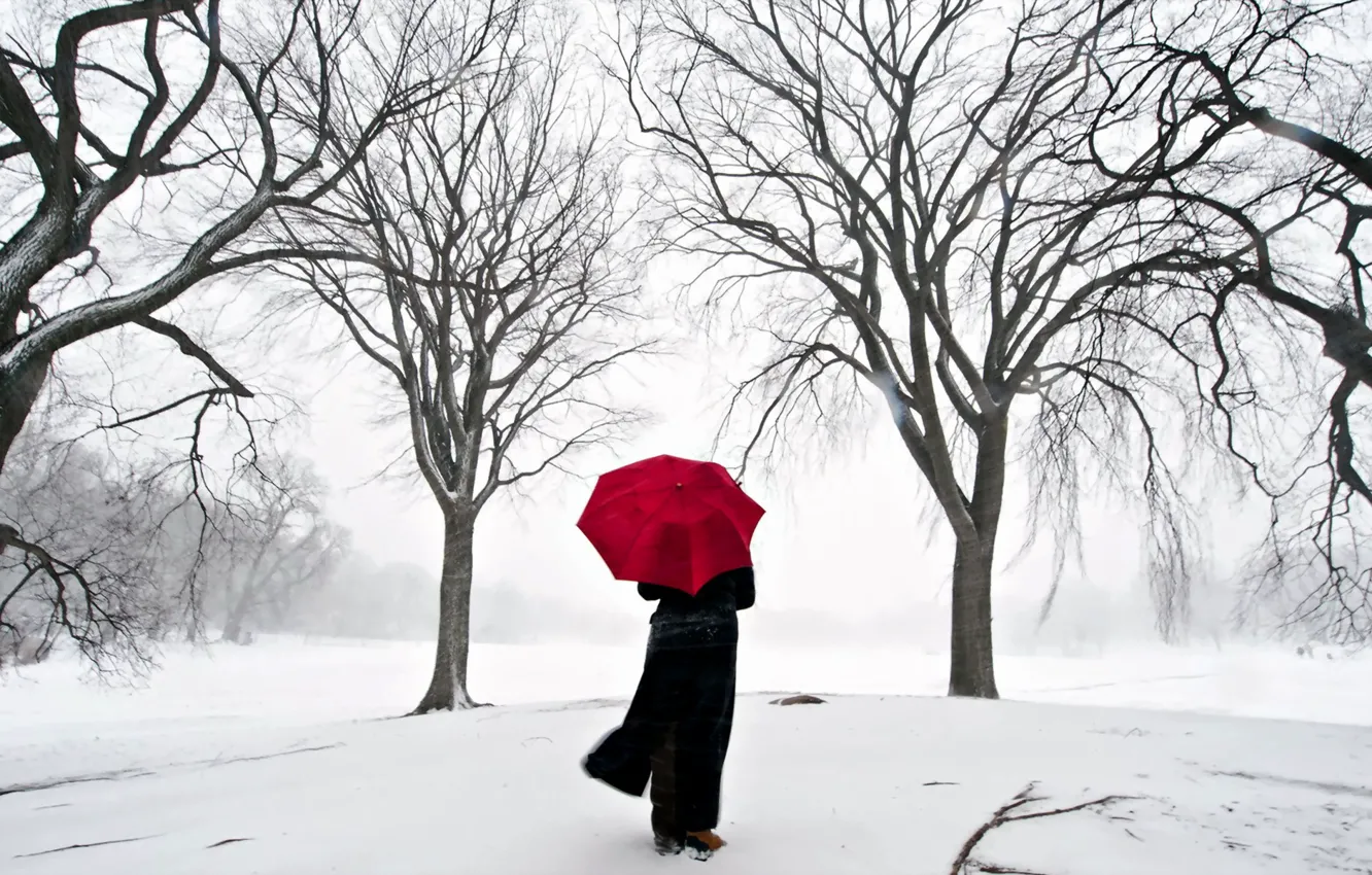 Photo wallpaper girl, snow, Japan, umbrella, Sakura