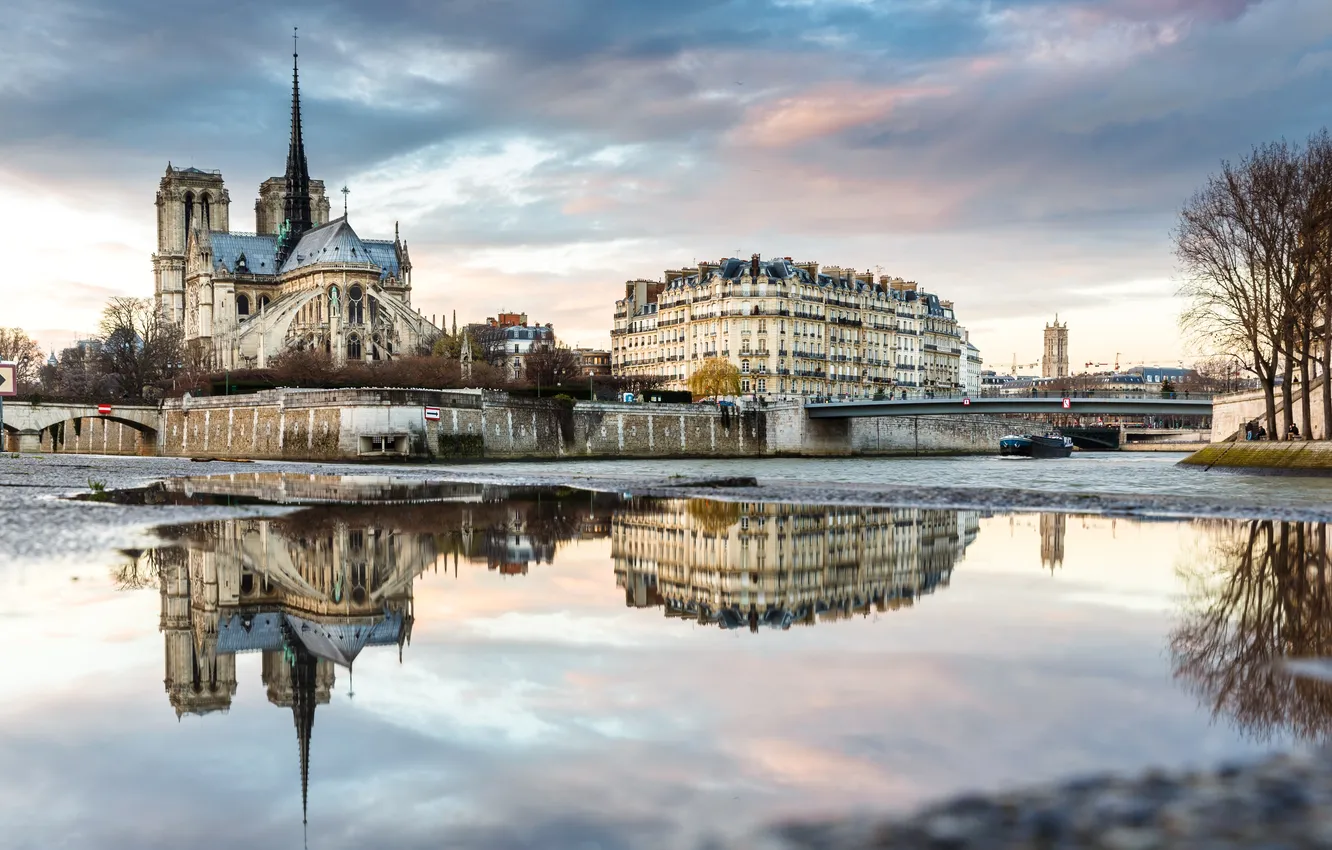 Photo wallpaper landscape, river, France, Paris, hay, Notre Dame Cathedral, the Ile de La Cité
