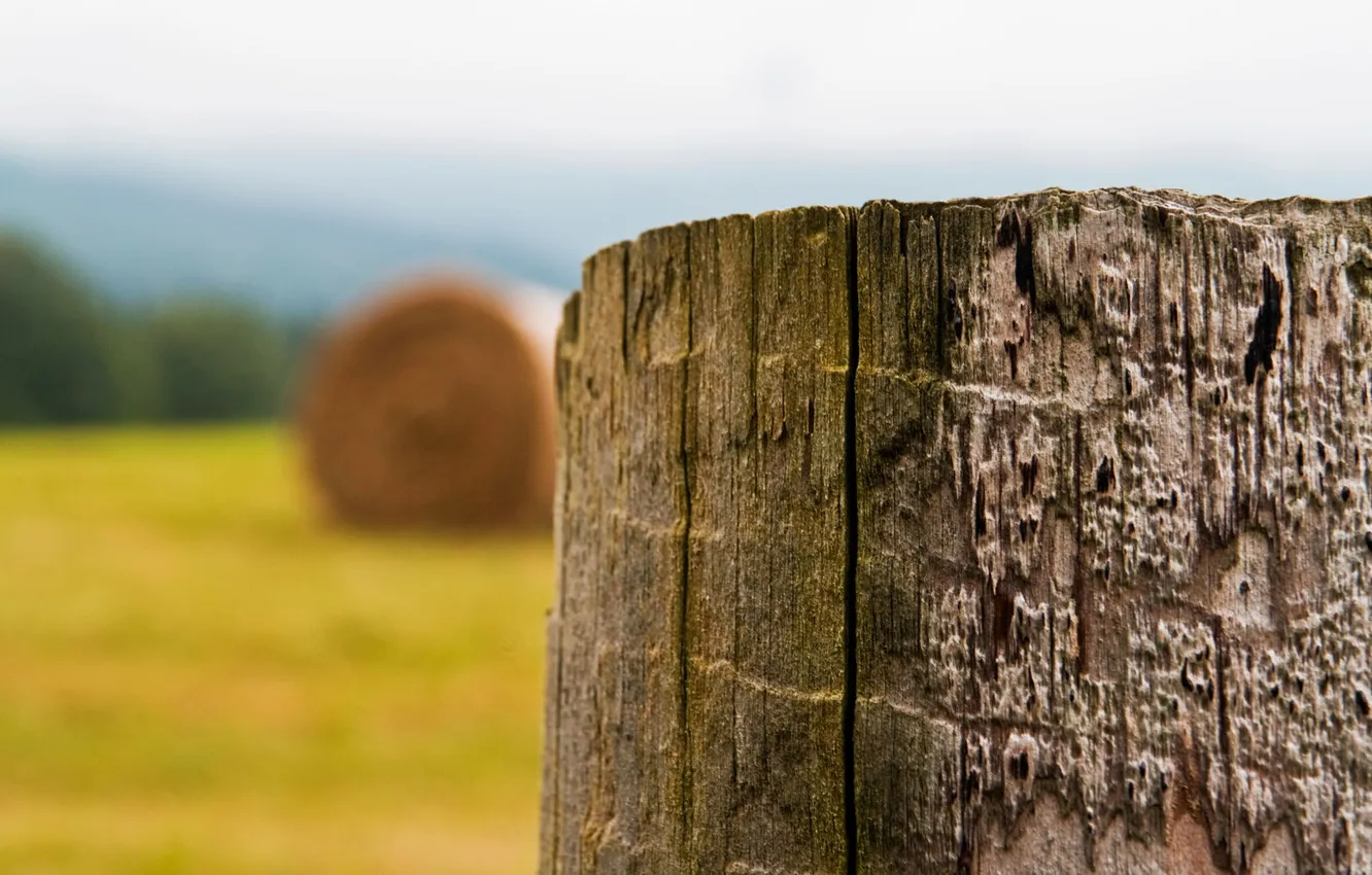 Photo wallpaper field, space, hay, wooden, the harvest, columns, the end of summer, time