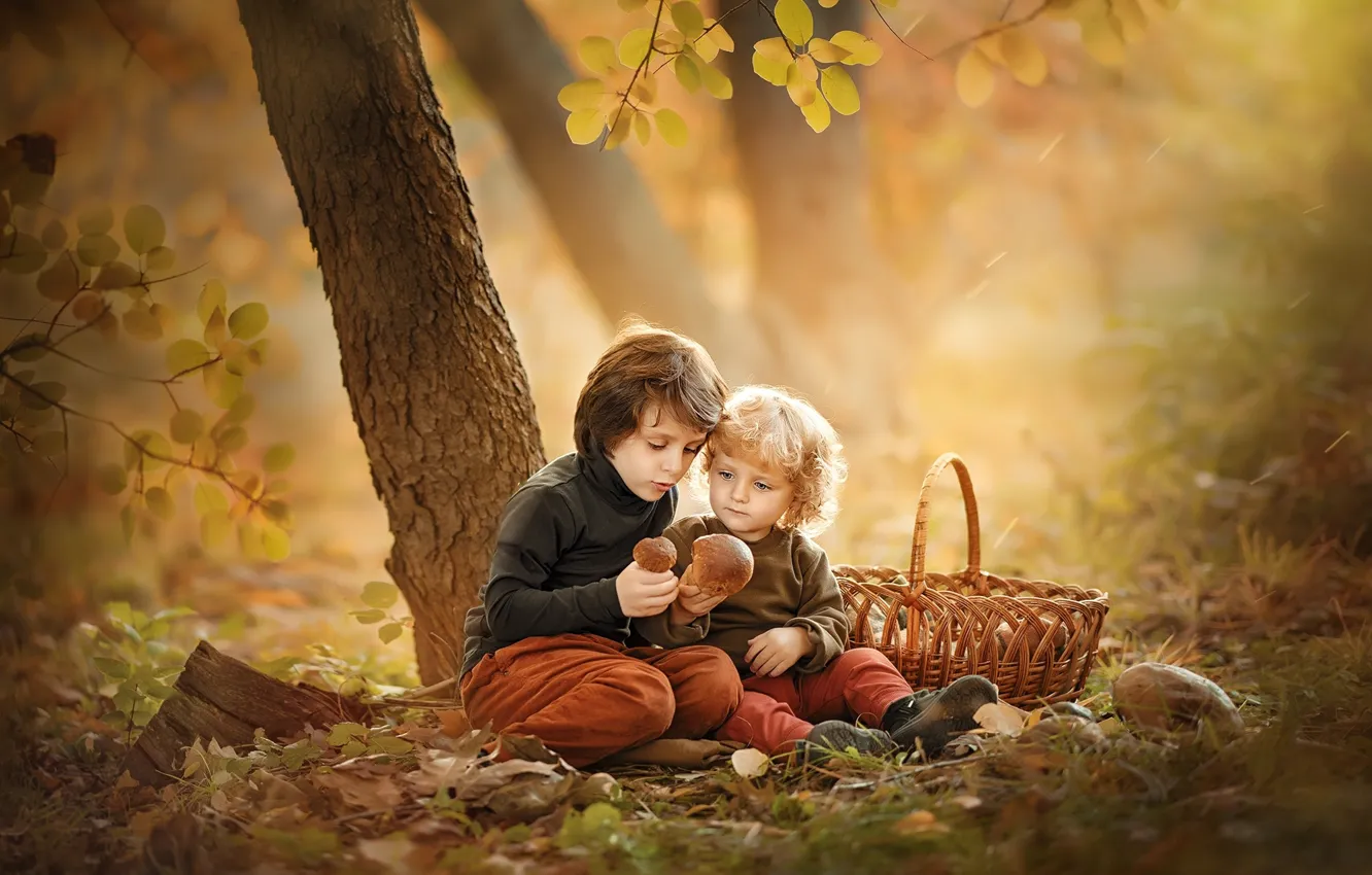 Photo wallpaper autumn, children, mushrooms, boy