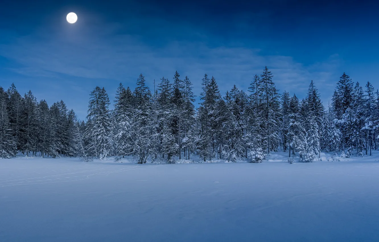 Photo wallpaper winter, forest, snow, trees, the moon, Switzerland, Switzerland, Jura