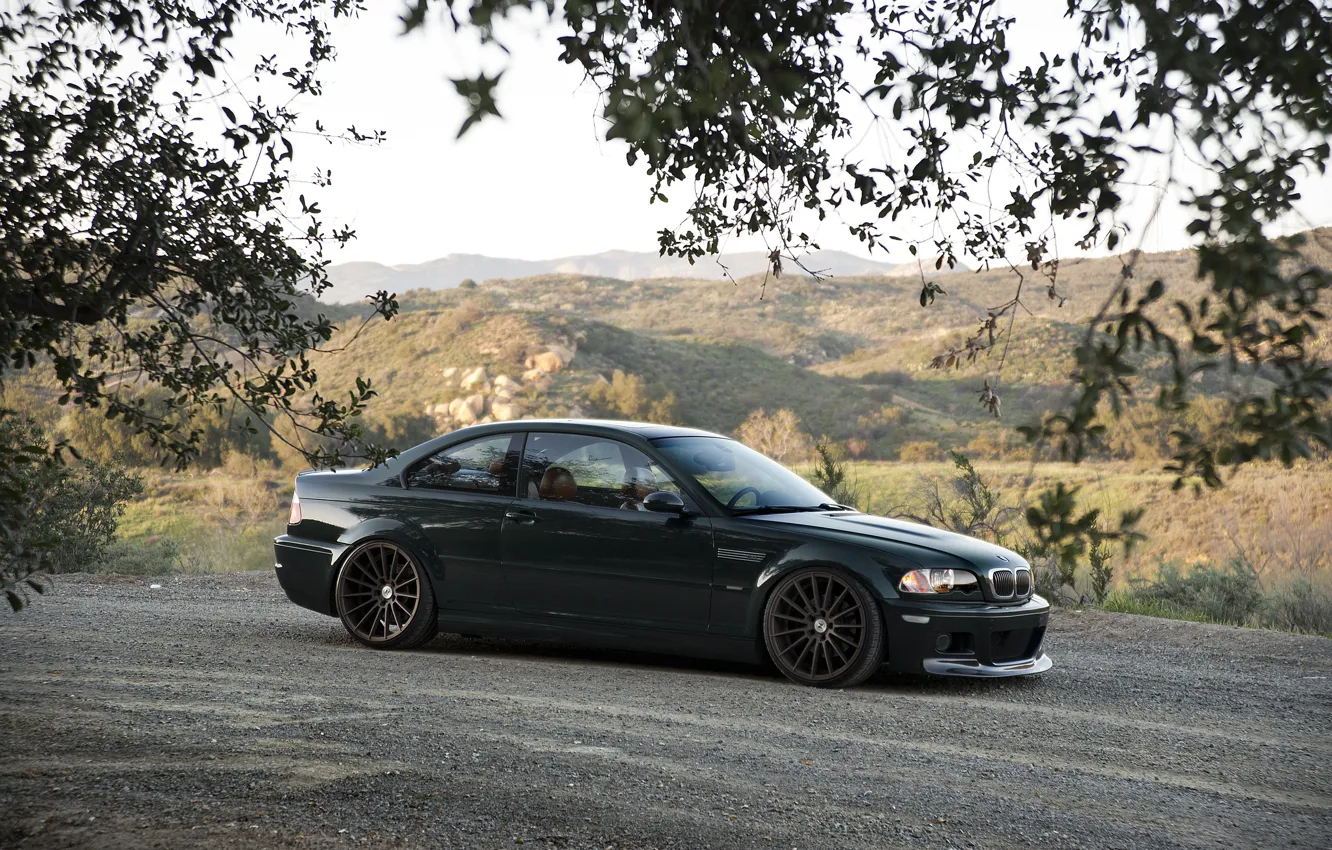 Wallpaper E46, Leaves, M3, Dark Green images for desktop, section bmw ...