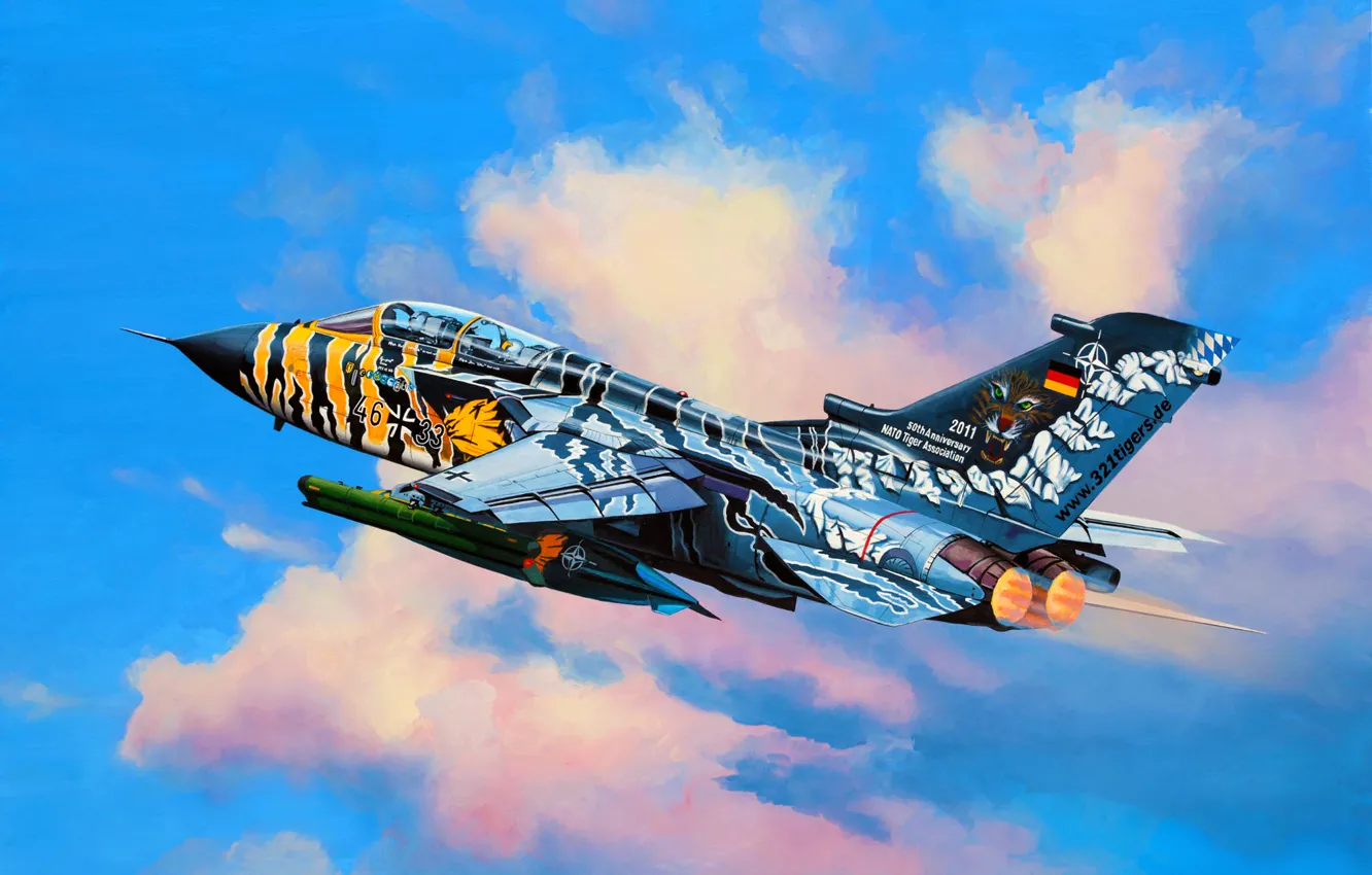 Photo wallpaper art, painting, jet, Tigermeet 2011, Tornado ECR
