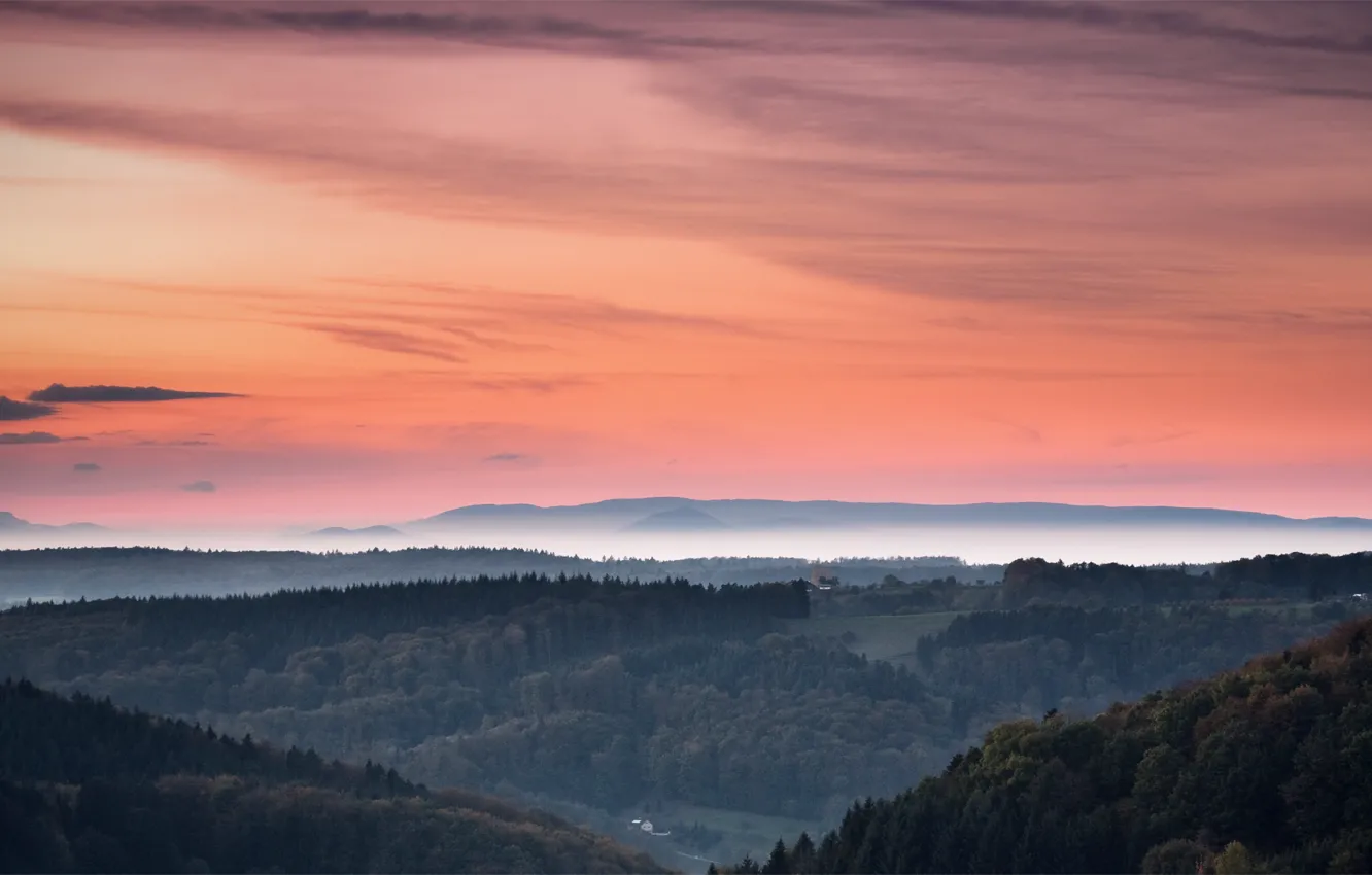 Photo wallpaper forest, the sky, trees, sunset, orange, hills, The evening, haze