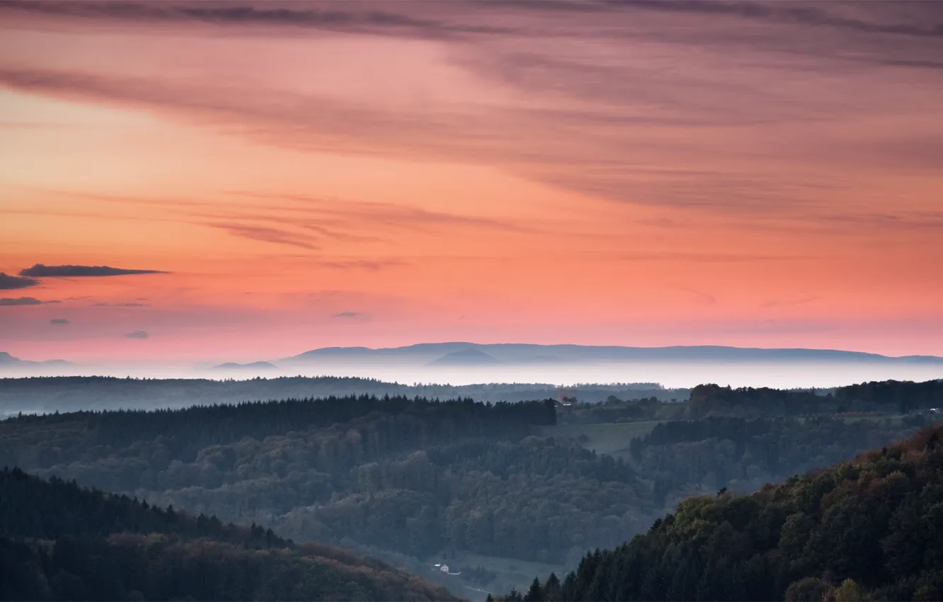 Photo wallpaper forest, the sky, trees, sunset, orange, hills, the evening, haze