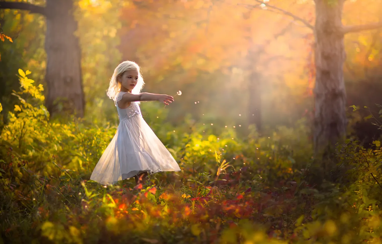 Photo wallpaper autumn, nature, dandelion, dress, girl