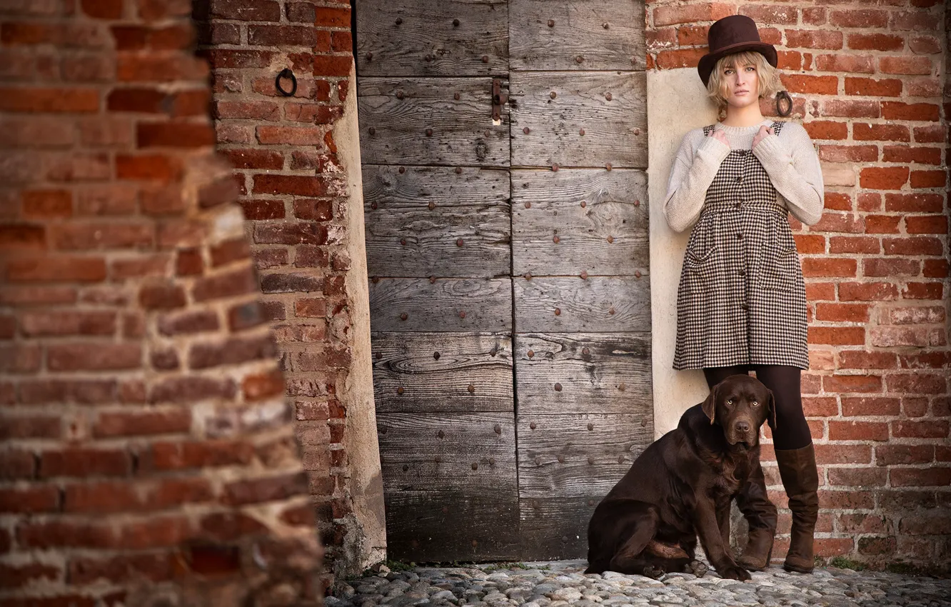 Photo wallpaper girl, wall, dog, Labrador Retriever