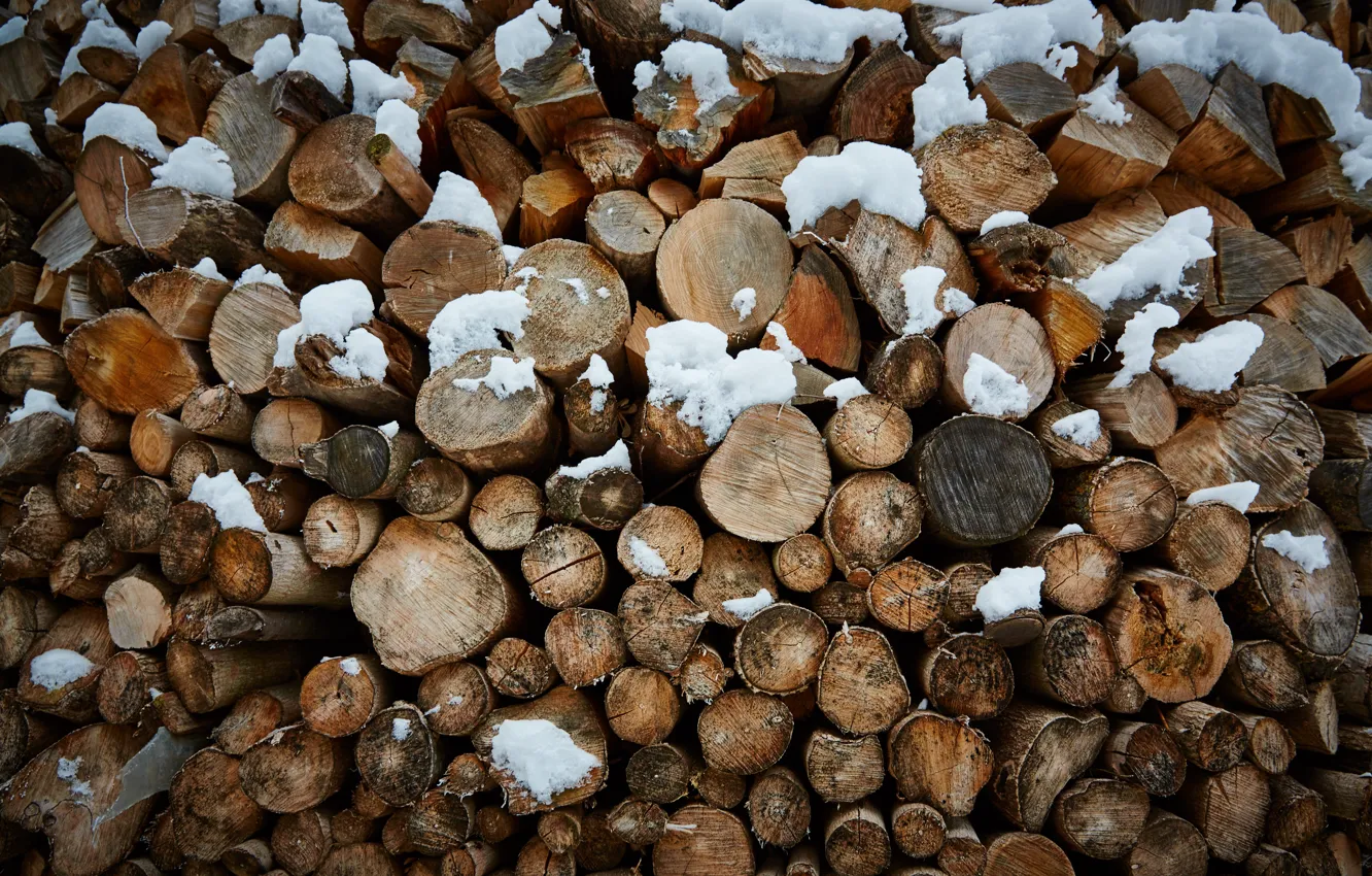 Photo wallpaper winter, snow, wood, cross-section of a tree