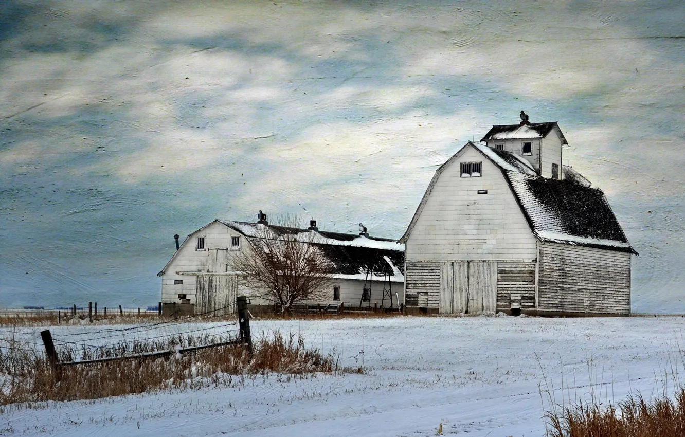 Photo wallpaper field, landscape, style, background, farm