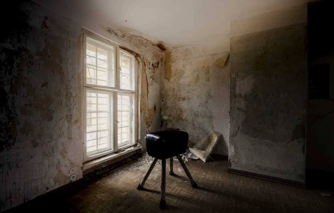 Photo wallpaper room, horse, window