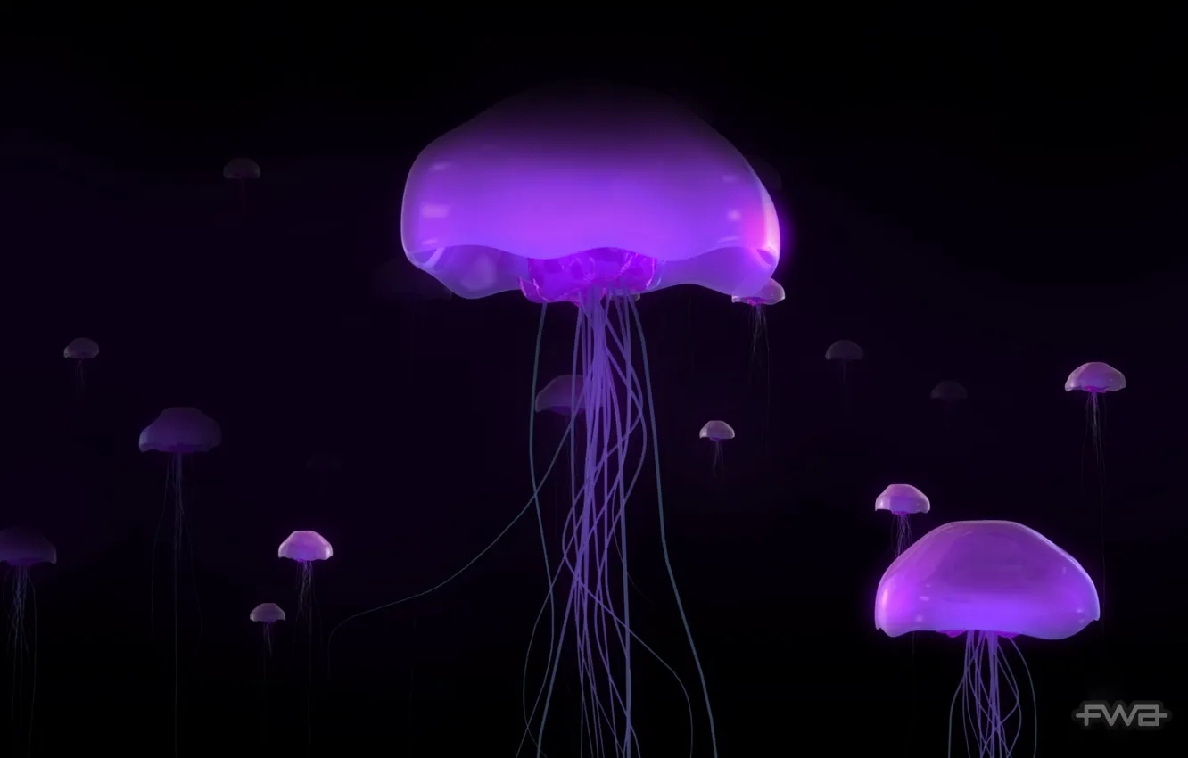 Photo wallpaper glow, Jellyfish
