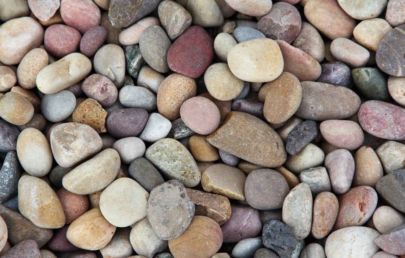 Photo wallpaper pebbles, stones, stone, texture, texture, sea, pebble