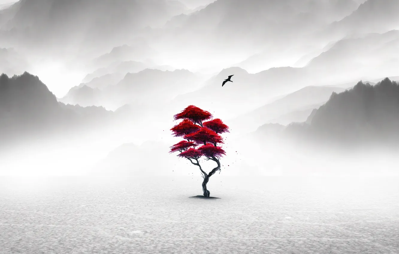 Photo wallpaper red, monochrome, serenity, plant