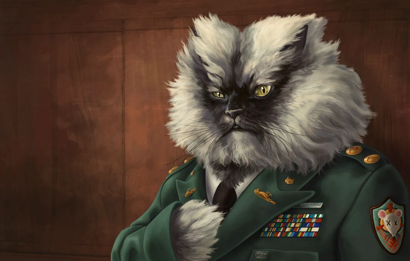 Photo wallpaper cat, figure, awards, General, shoulder straps