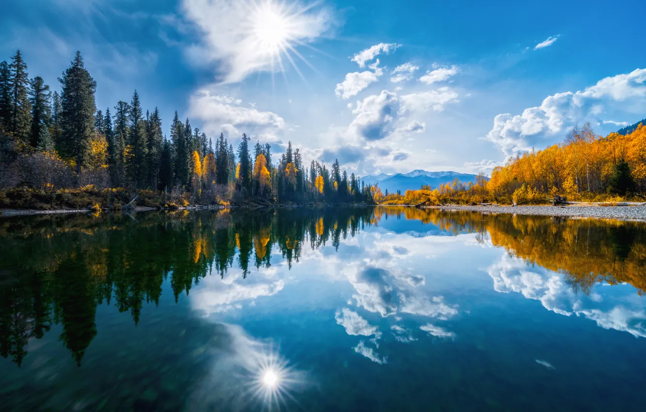 Photo wallpaper forest, reflection, Water Mirror