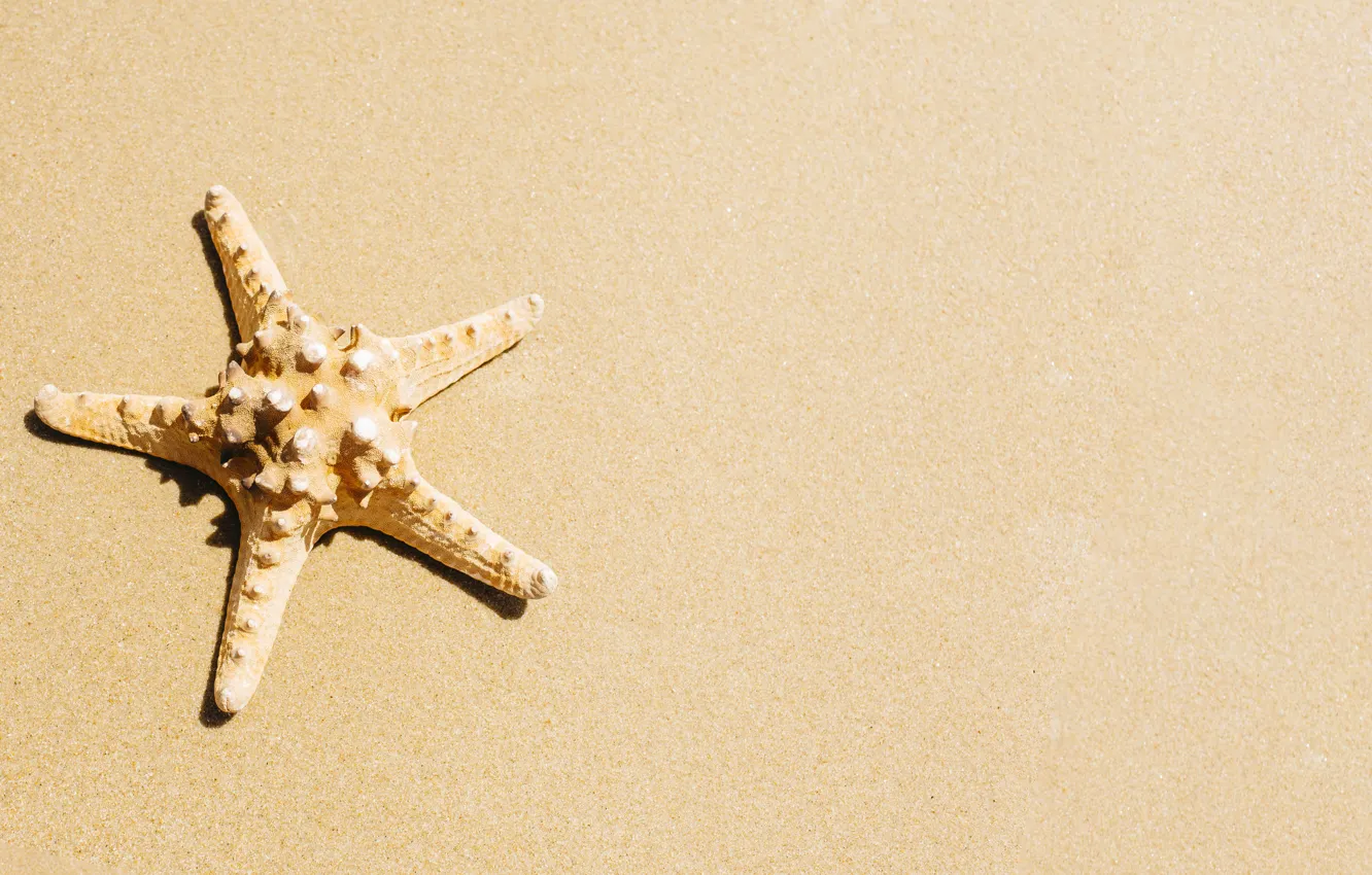 Photo wallpaper sand, sea, beach, star, summer, beach, sea, sea