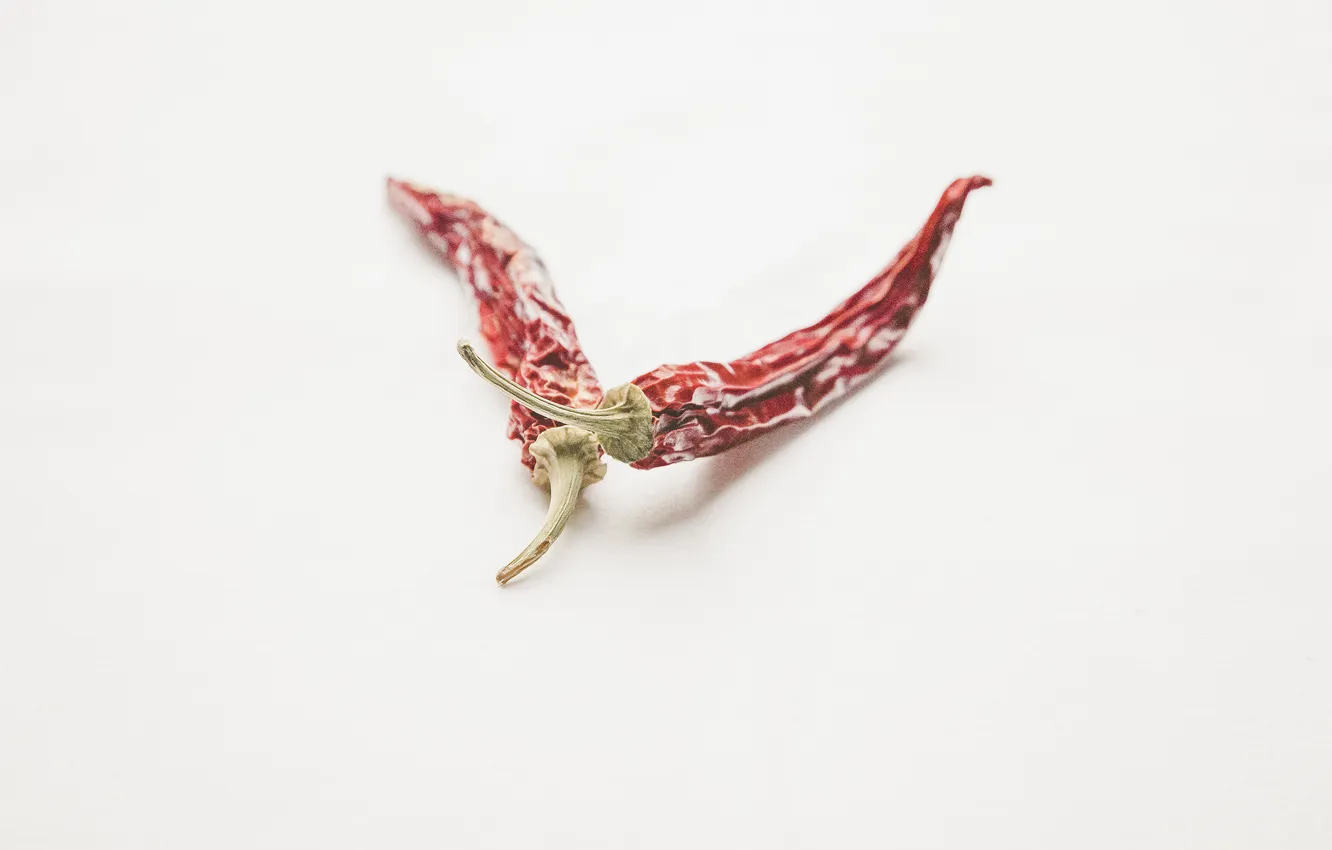 Photo wallpaper red, pepper, photo, photographer, burning, markus spiske