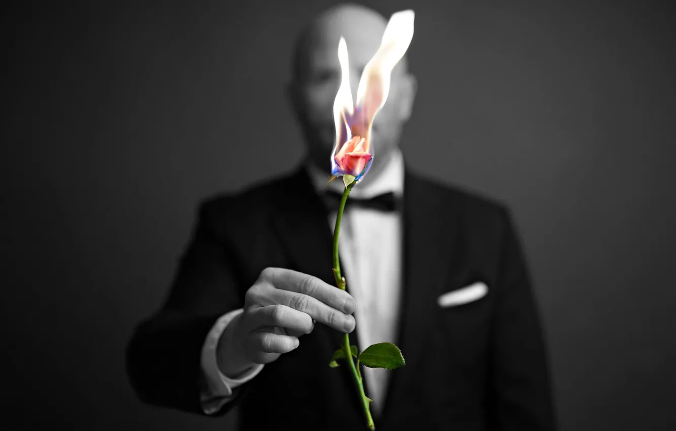 Photo wallpaper fire, rose, people