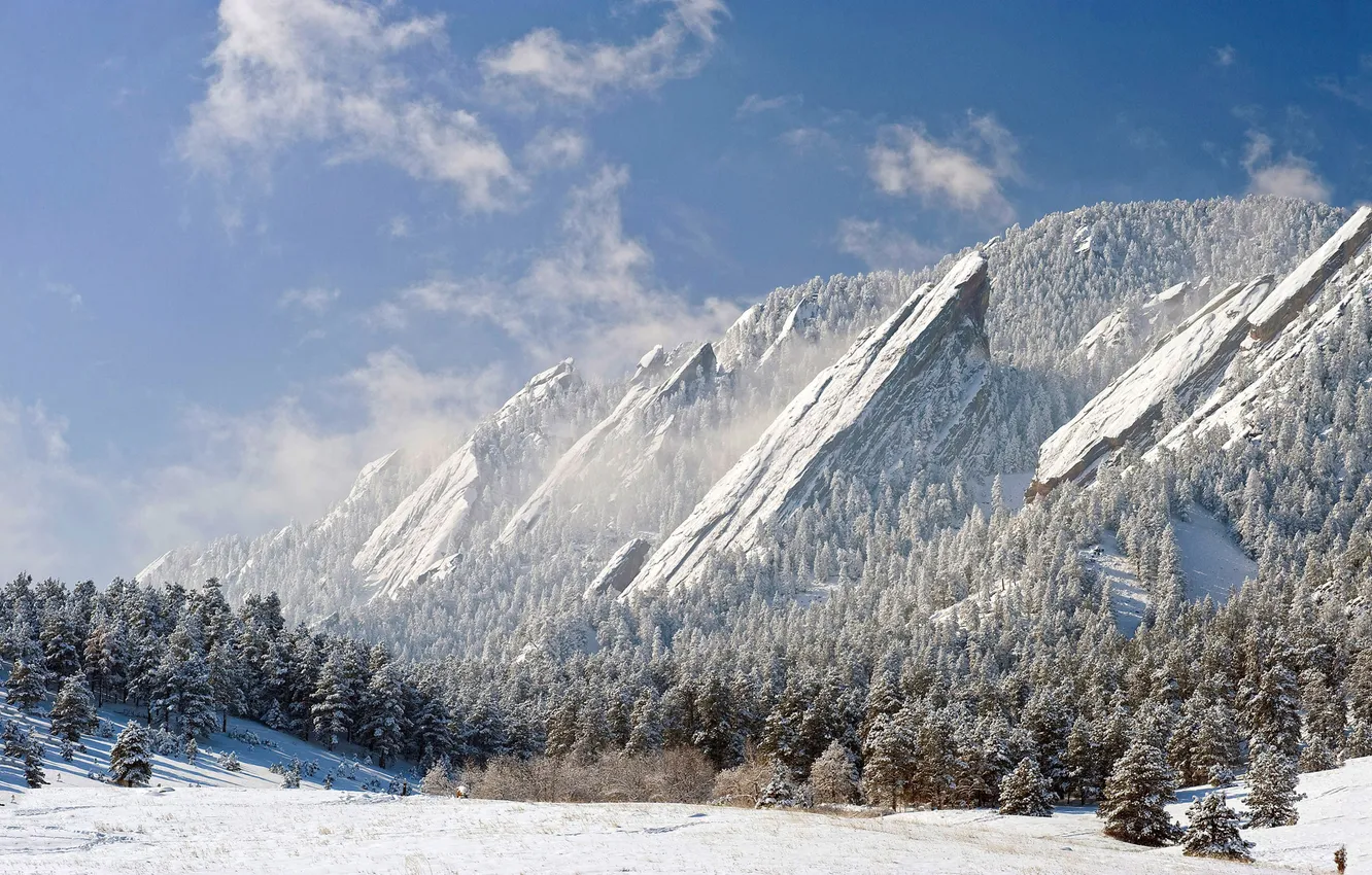 Photo wallpaper winter, forest, the sky, clouds, snow, trees, landscape, mountains
