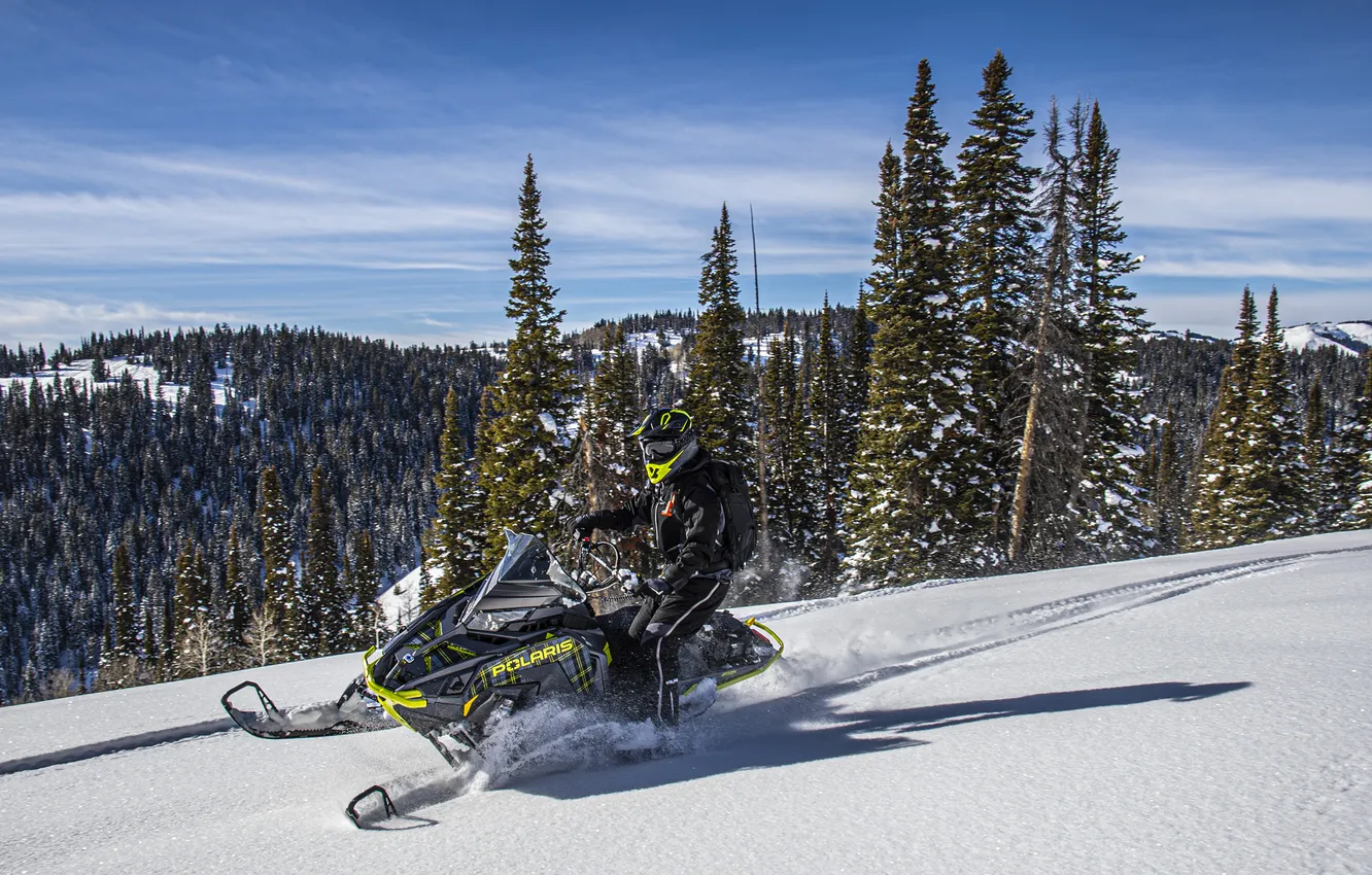 Photo wallpaper winter, forest, the sky, clouds, snow, forest, sky, winter