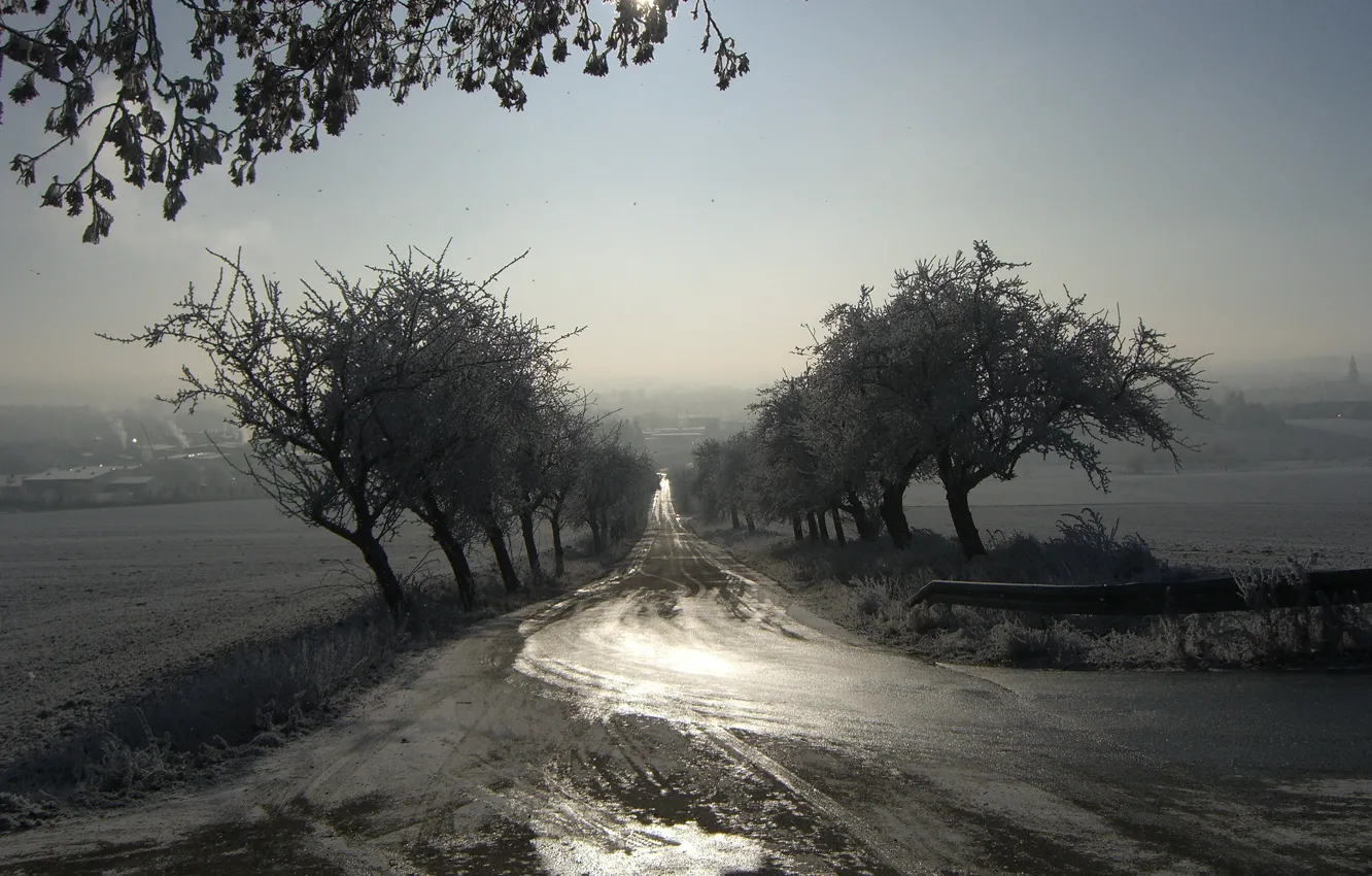 Photo wallpaper road, landscape, fog, morning