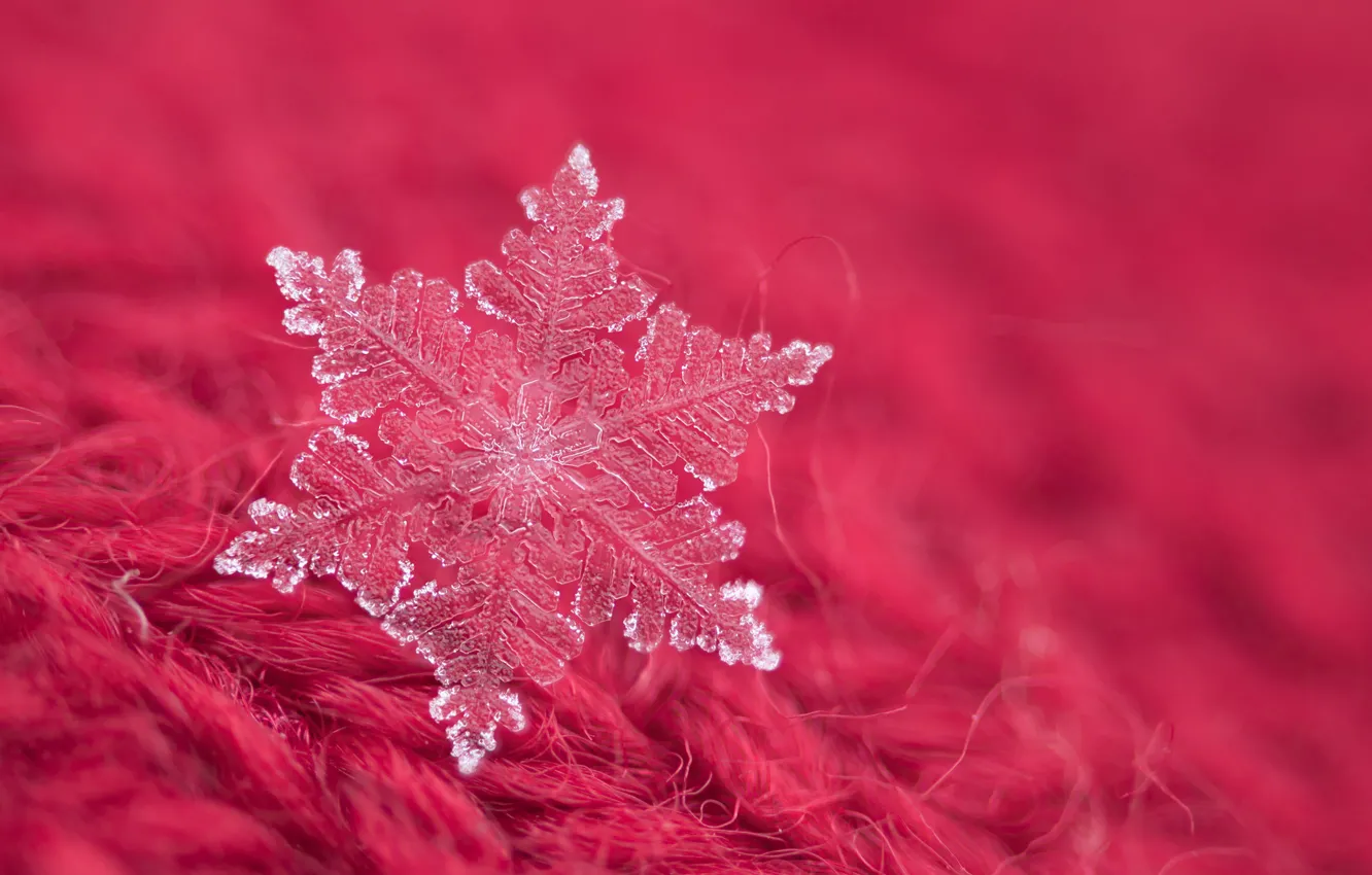 Photo wallpaper macro, snowflakes, pile