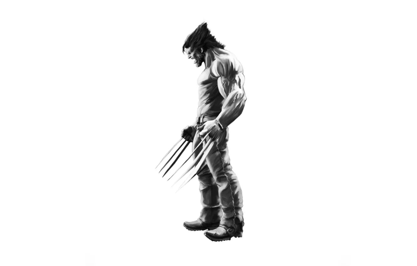 Photo wallpaper Wolverine, Wolverine, superhero