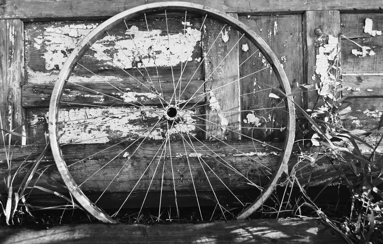 Photo wallpaper metal, white, black, wood, bicycle wheel
