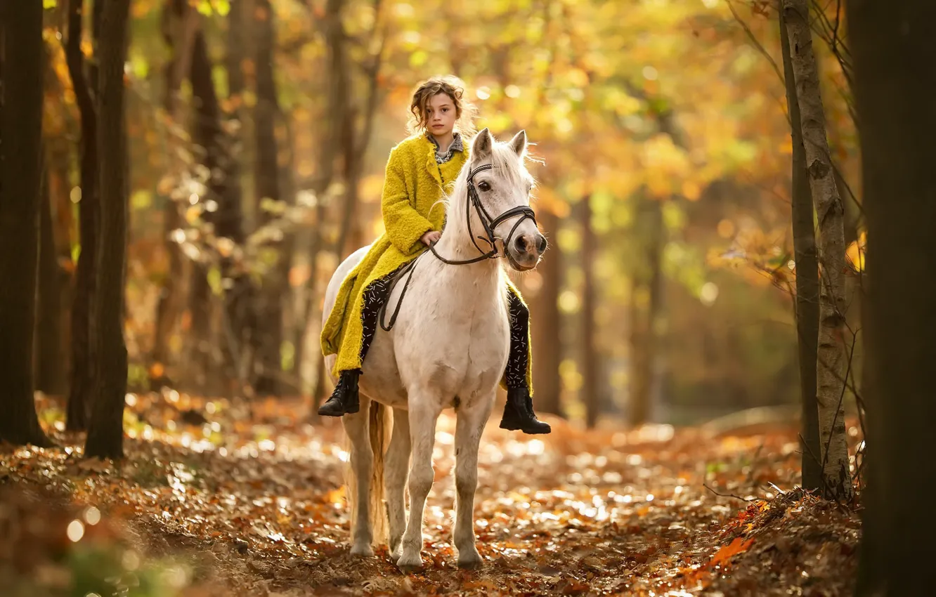 Photo wallpaper autumn, nature, horse, girl