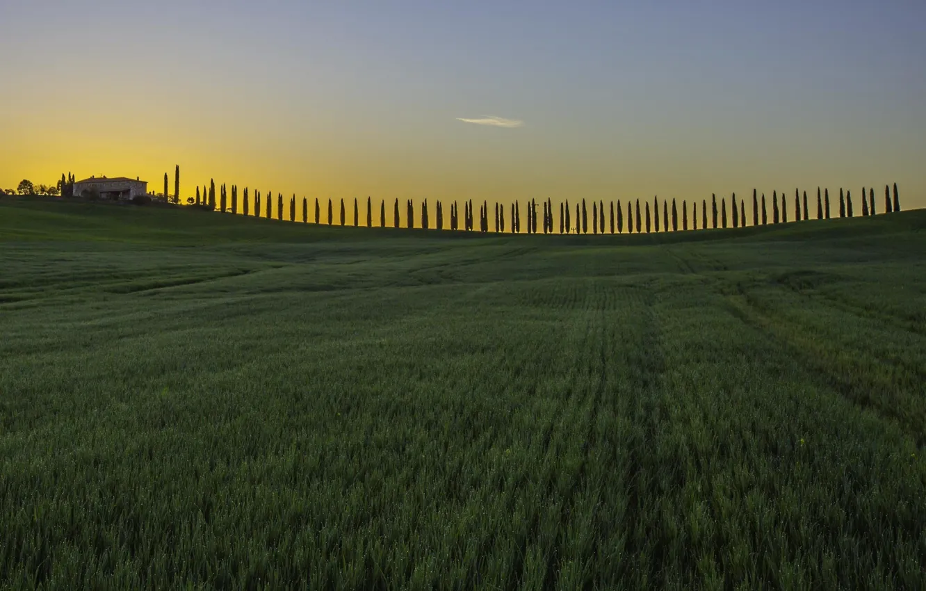 Photo wallpaper field, the sky, clouds, trees, sunset, home, Italy, twilight