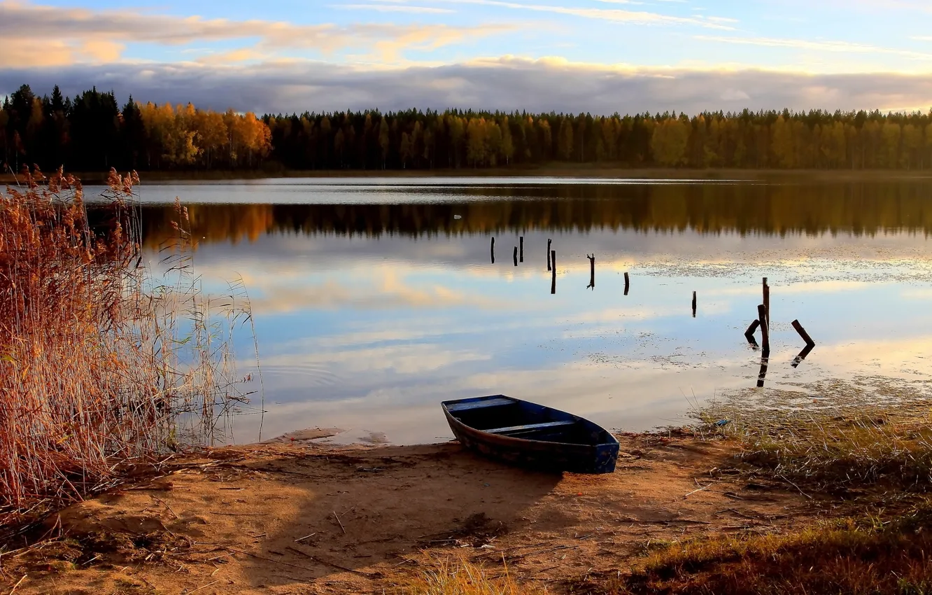 Photo wallpaper autumn, forest, river, boat, old rowboat on a lake