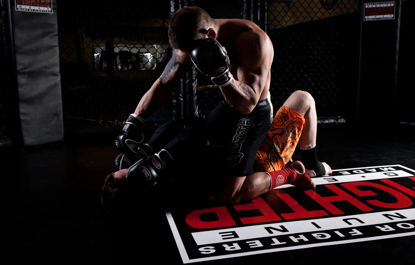Photo wallpaper muscles, mma, fighting, bjj, wrestling, cage