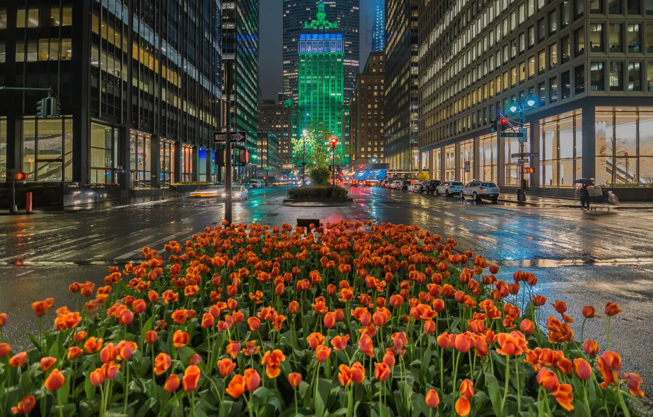 Photo wallpaper flowers, street, building, home, New York, Manhattan, tulips, flowerbed