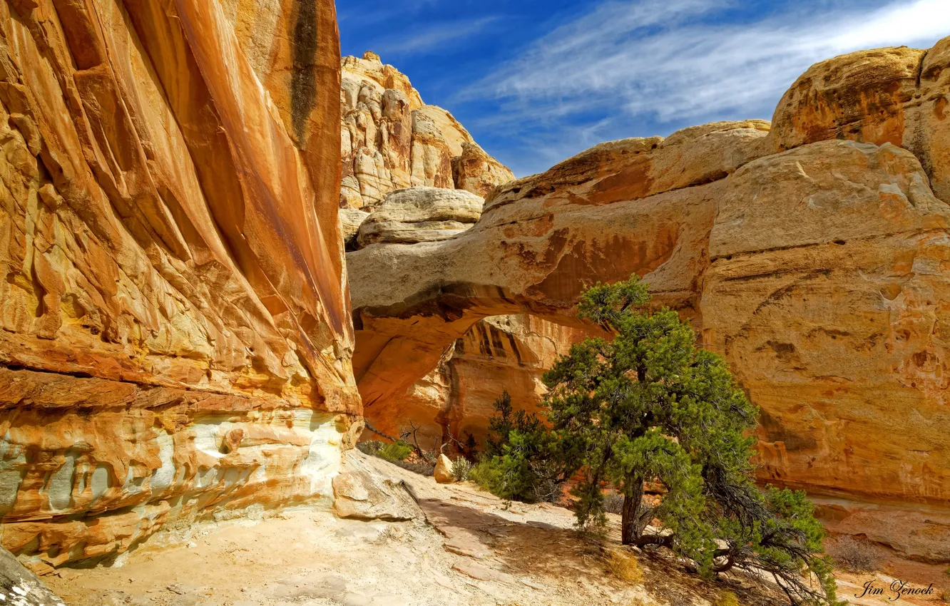 Photo wallpaper the sky, the sun, trees, stones, rocks, arch
