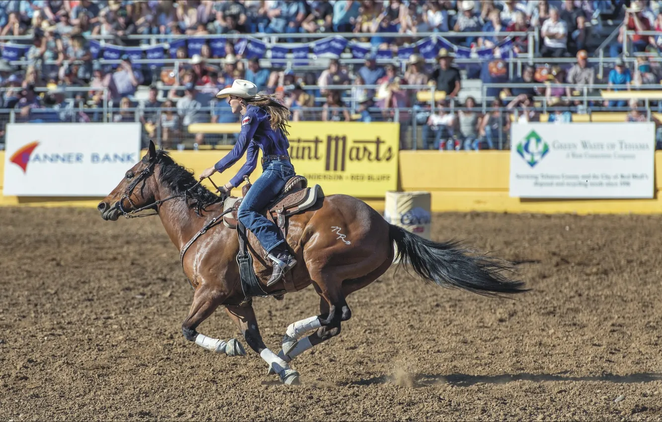 Photo wallpaper sport, horse, rider, jump, Rodeo