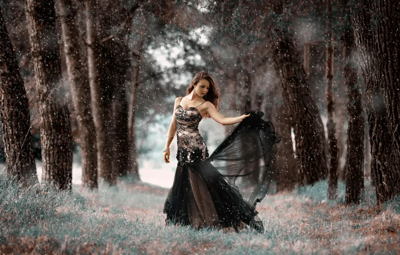 Photo wallpaper forest, girl, dress, stroke, The cold forest