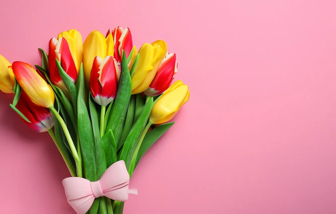 Photo wallpaper flowers, bouquet, colorful, tulips, flowers, tulips, spring