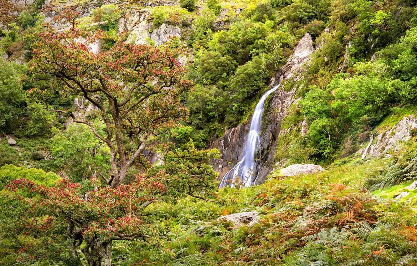 Photo wallpaper waterfall, Wales, Snowdonia, But If