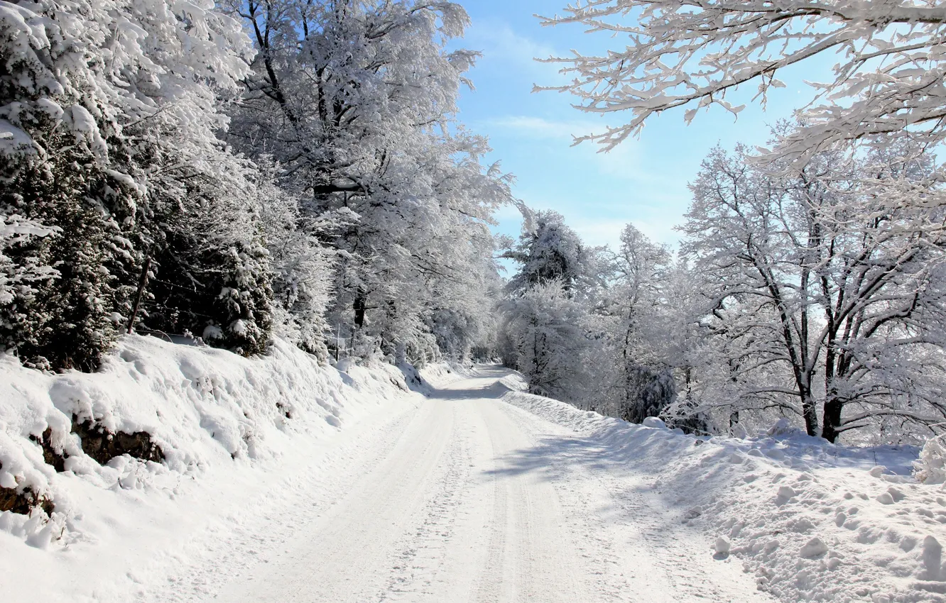 Photo wallpaper road, snow, trees, Winter