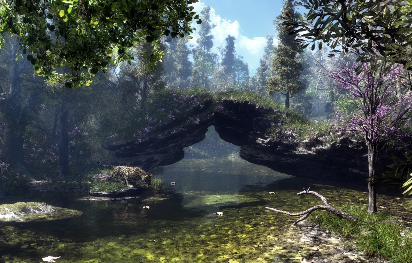 Photo wallpaper trees, branches, nature, lake, river, stones, rocks, Sakura