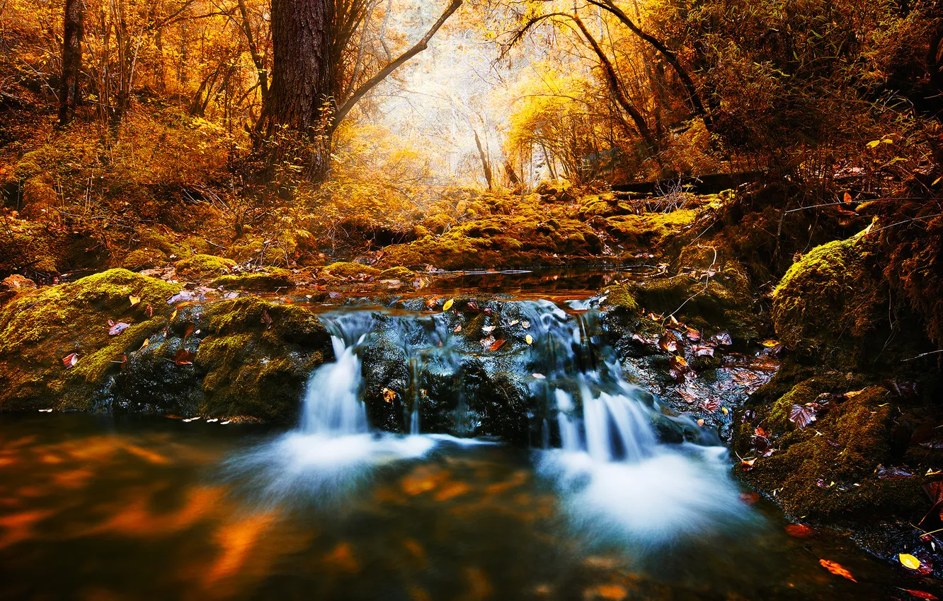 Photo wallpaper Water, Autumn, Yellow, Rocks, Trees, Long, Brook, Stream