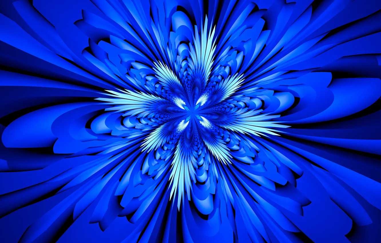 Photo wallpaper rays, line, flowers, petals, symmetry