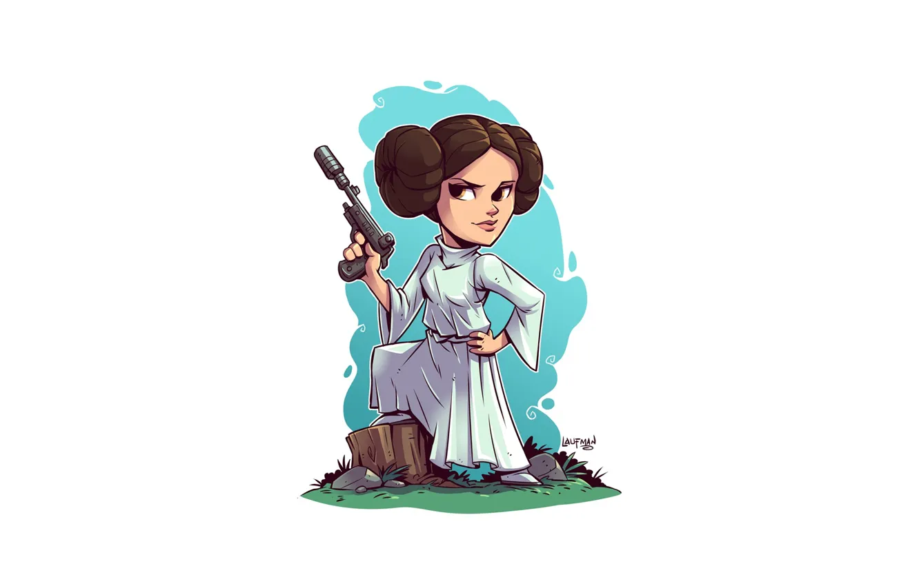 Photo wallpaper Star Wars, Leia, Derek Laufman