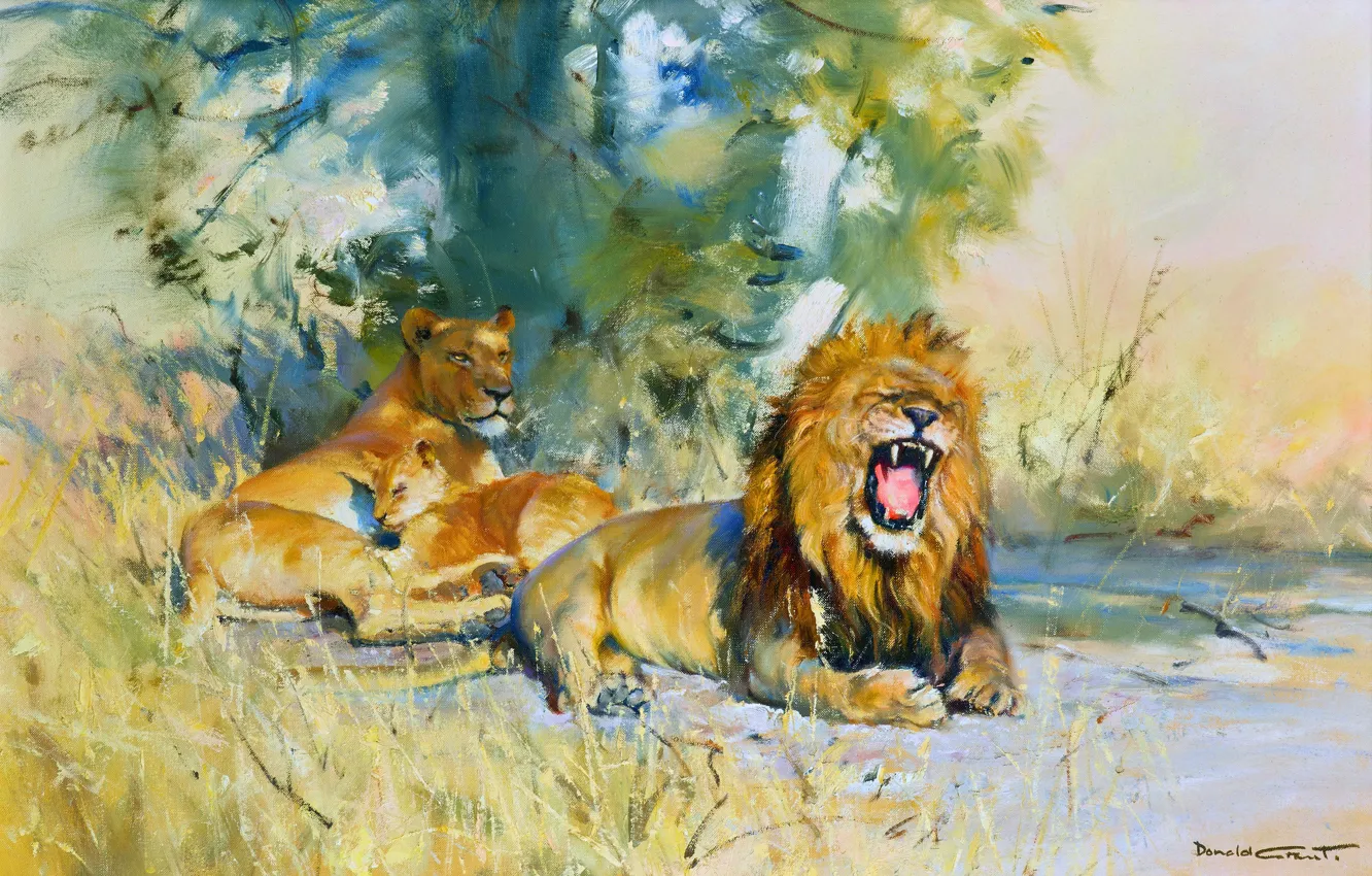 Photo wallpaper trees, picture, Leo, grin, lioness, three, lion, big cats