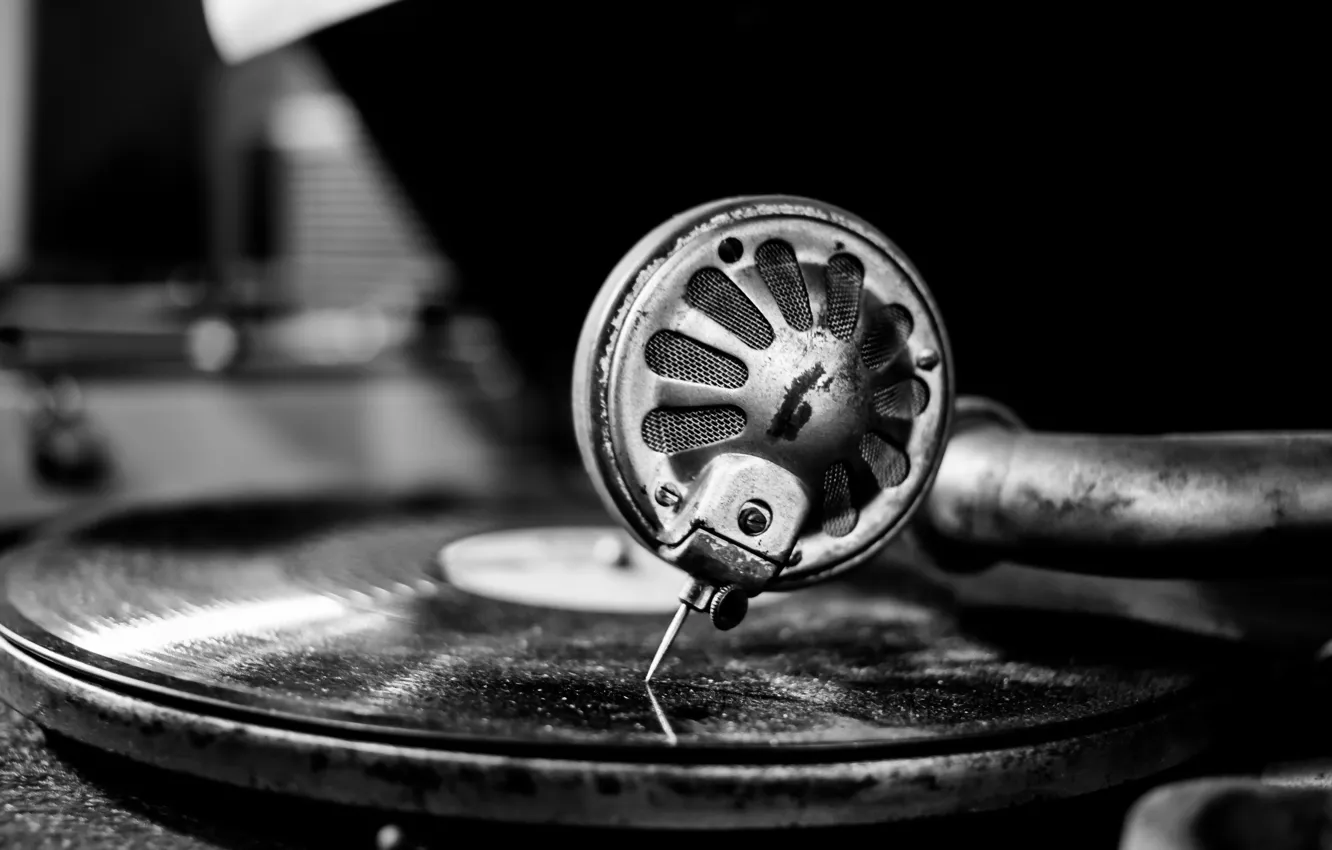 Photo wallpaper macro, music, the gramophone