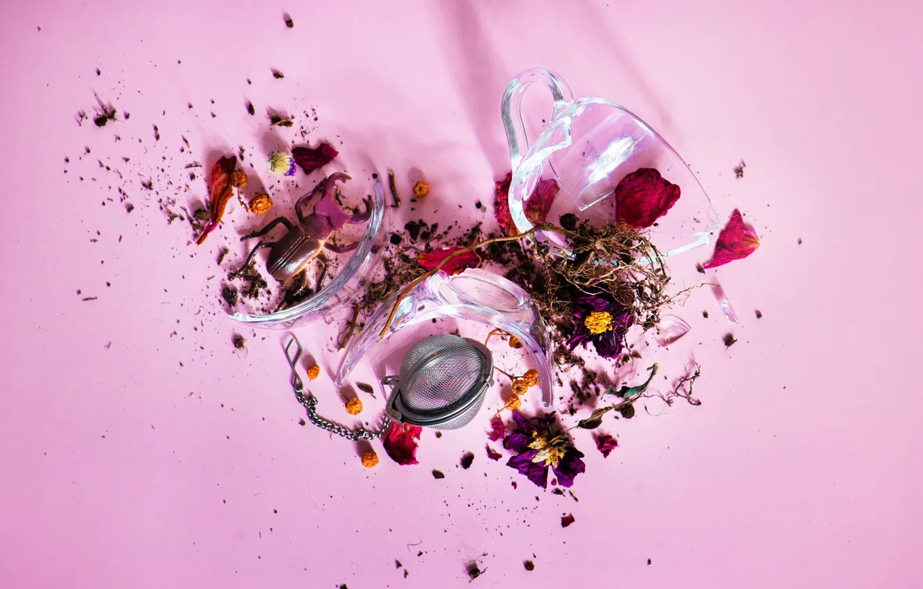 Photo wallpaper glass, flowers, beetle, petals, mug, Cup, pink background, broken glass